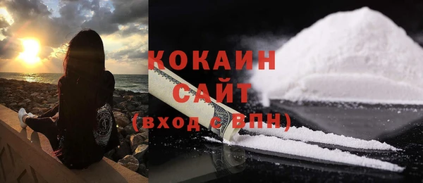 ПСИЛОЦИБИНОВЫЕ ГРИБЫ Гусев