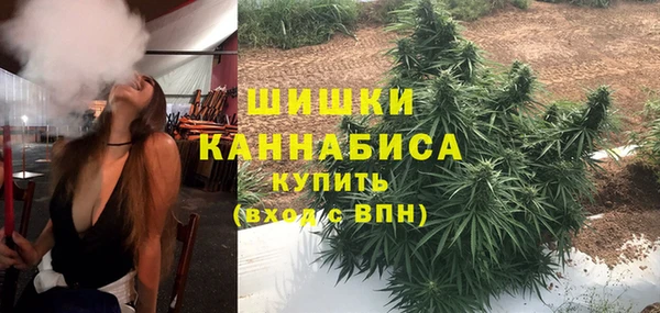 мяу мяу кристалл Гусь-Хрустальный
