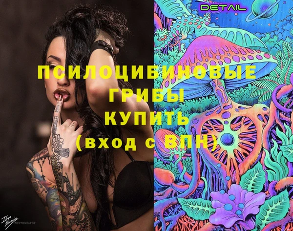 ПСИЛОЦИБИНОВЫЕ ГРИБЫ Гусев