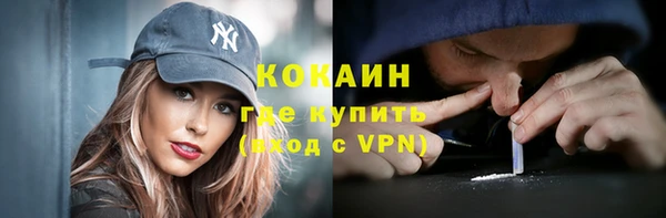 ПСИЛОЦИБИНОВЫЕ ГРИБЫ Гусев