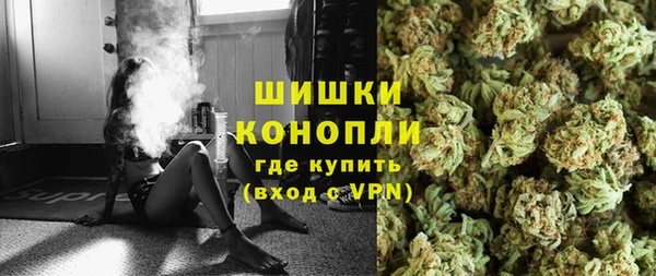 ПСИЛОЦИБИНОВЫЕ ГРИБЫ Гусев