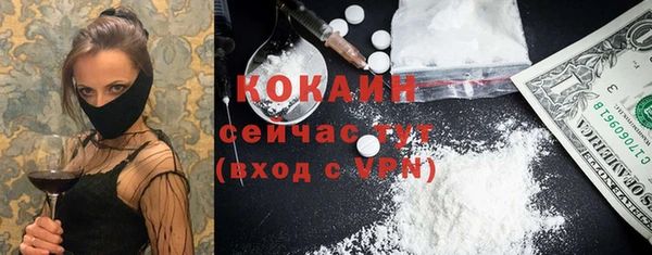 ПСИЛОЦИБИНОВЫЕ ГРИБЫ Гусев