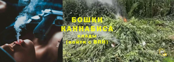 ПСИЛОЦИБИНОВЫЕ ГРИБЫ Гусев