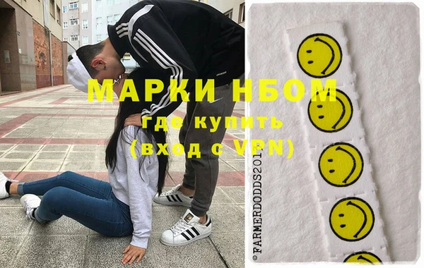 ПСИЛОЦИБИНОВЫЕ ГРИБЫ Гусев